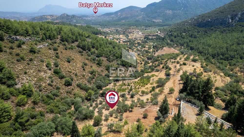 Datça Hızırşah'ta Satılık 916,40m2 Zeytinlik Tarla