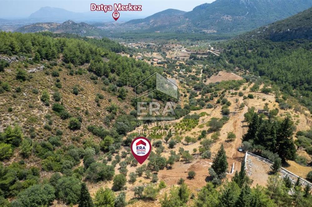 Datça Hızırşah'ta Satılık 916,40m2 Zeytinlik Tarla