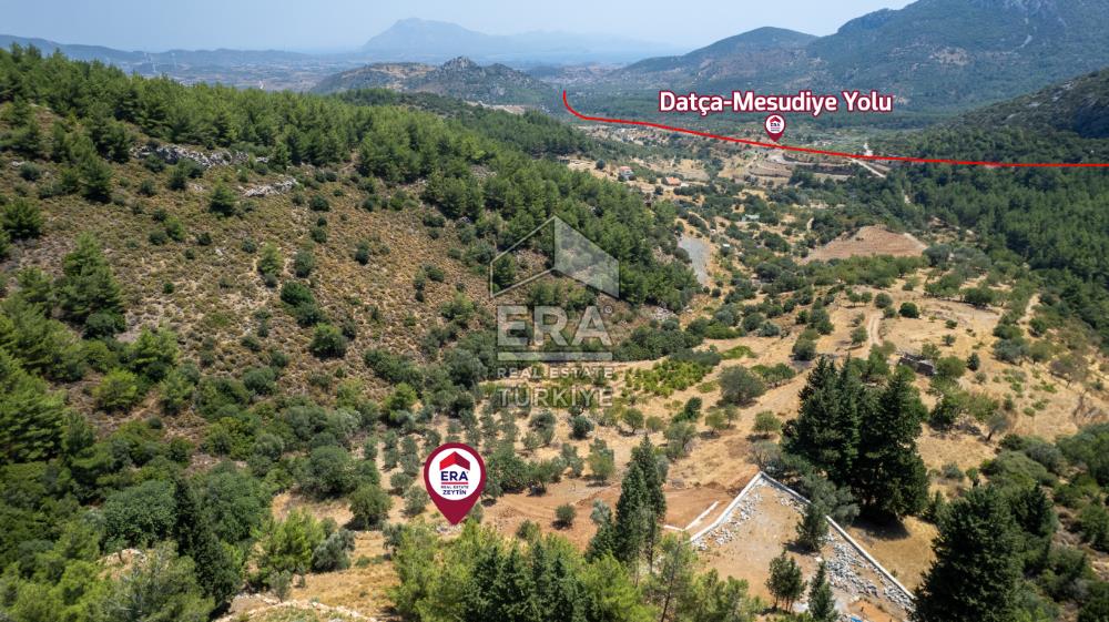 Datça Hızırşah'ta Satılık 916,40m2 Zeytinlik Tarla
