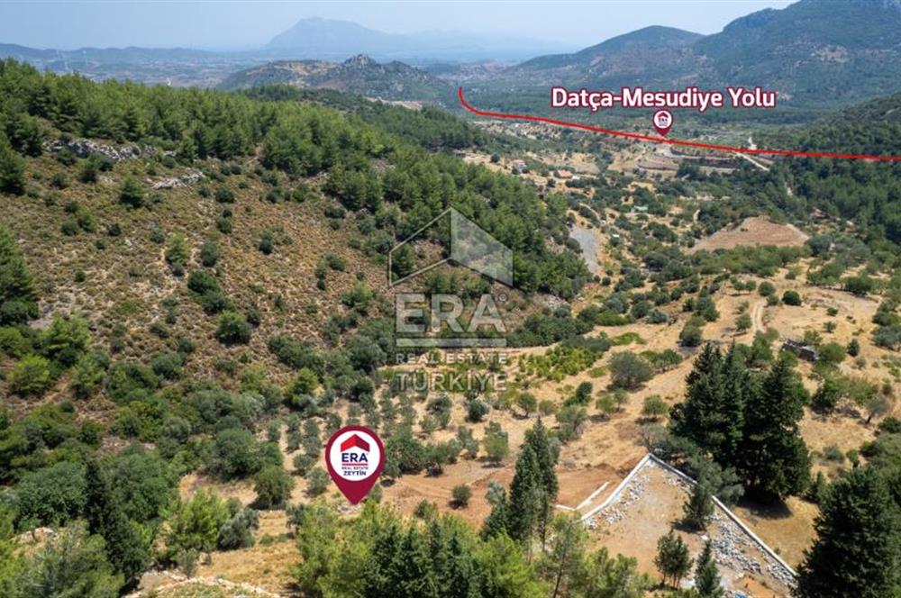 Datça Hızırşah'ta Satılık 916,40m2 Zeytinlik Tarla