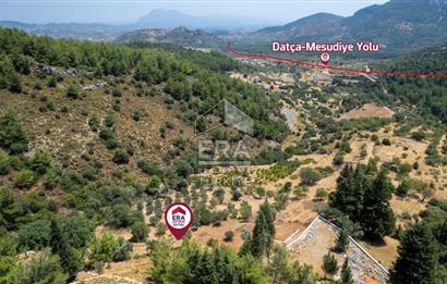 Datça Hızırşah'ta Satılık 916,40m2 Zeytinlik Tarla