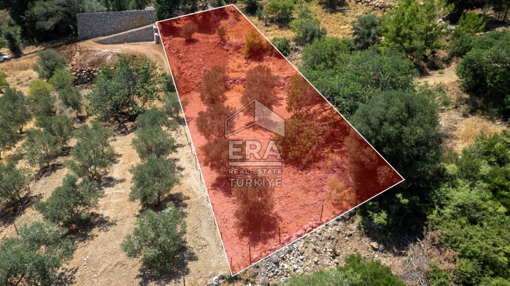 Datça Hızırşah'ta Satılık 916,40m2 Zeytinlik Tarla