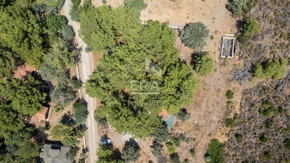 Datça Kabaklar Koyunda Denize 200 m Satılık 2777 m2 Arazi
