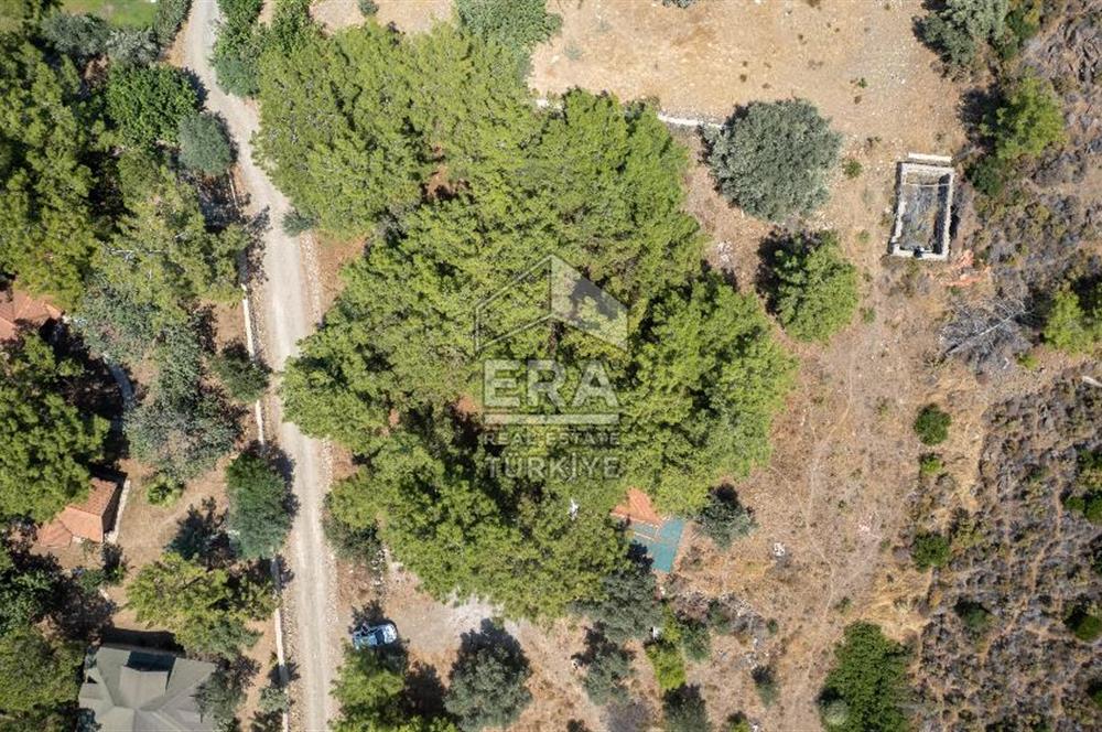 Datça Kabaklar Koyunda Denize 200 m Satılık 2777 m2 Arazi