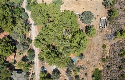 Datça Kabaklar Koyunda Denize 200 m Satılık 2777 m2 Arazi