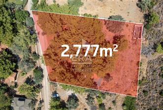 Datça Kabaklar Koyunda Denize 200 m Satılık 2777 m2 Arazi