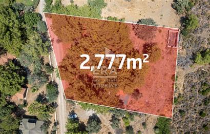 Datça Kabaklar Koyunda Denize 200 m Satılık 2777 m2 Arazi