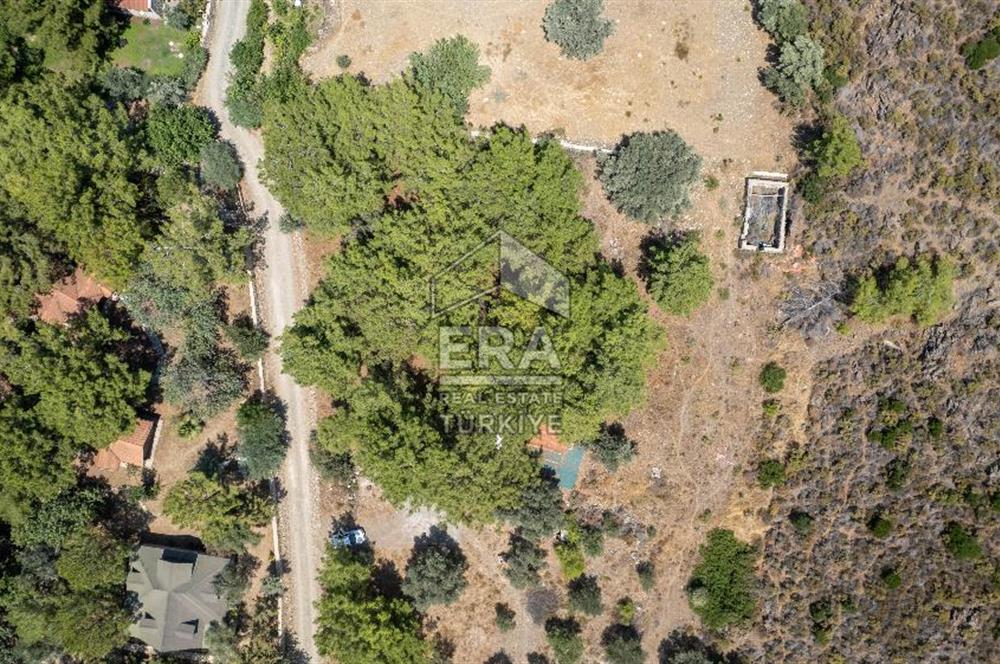 Datça Kabaklar Koyunda Denize 200 m Satılık 2777 m2 Arazi