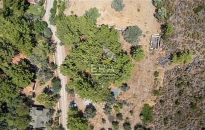 Datça Kabaklar Koyunda Denize 200 m Satılık 2777 m2 Arazi