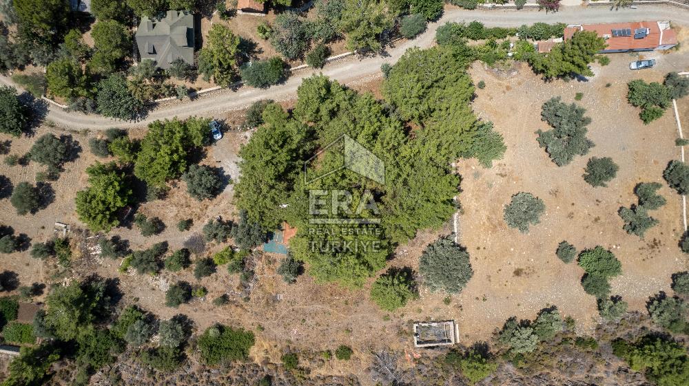 Datça Kabaklar Koyunda Denize 200 m Satılık 2777 m2 Arazi