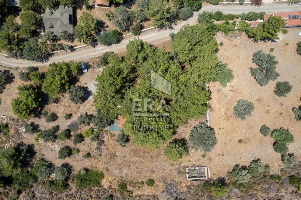 Datça Kabaklar Koyunda Denize 200 m Satılık 2777 m2 Arazi