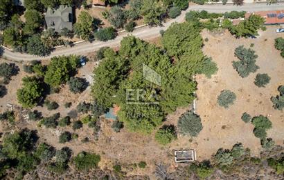 Datça Kabaklar Koyunda Denize 200 m Satılık 2777 m2 Arazi