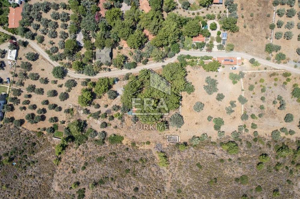 Datça Kabaklar Koyunda Denize 200 m Satılık 2777 m2 Arazi