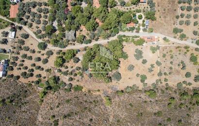 Datça Kabaklar Koyunda Denize 200 m Satılık 2777 m2 Arazi