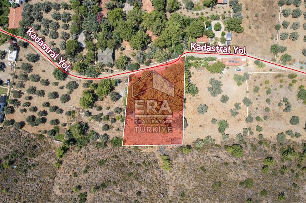 Datça Kabaklar Koyunda Denize 200 m Satılık 2777 m2 Arazi
