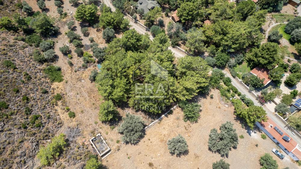 Datça Kabaklar Koyunda Denize 200 m Satılık 2777 m2 Arazi