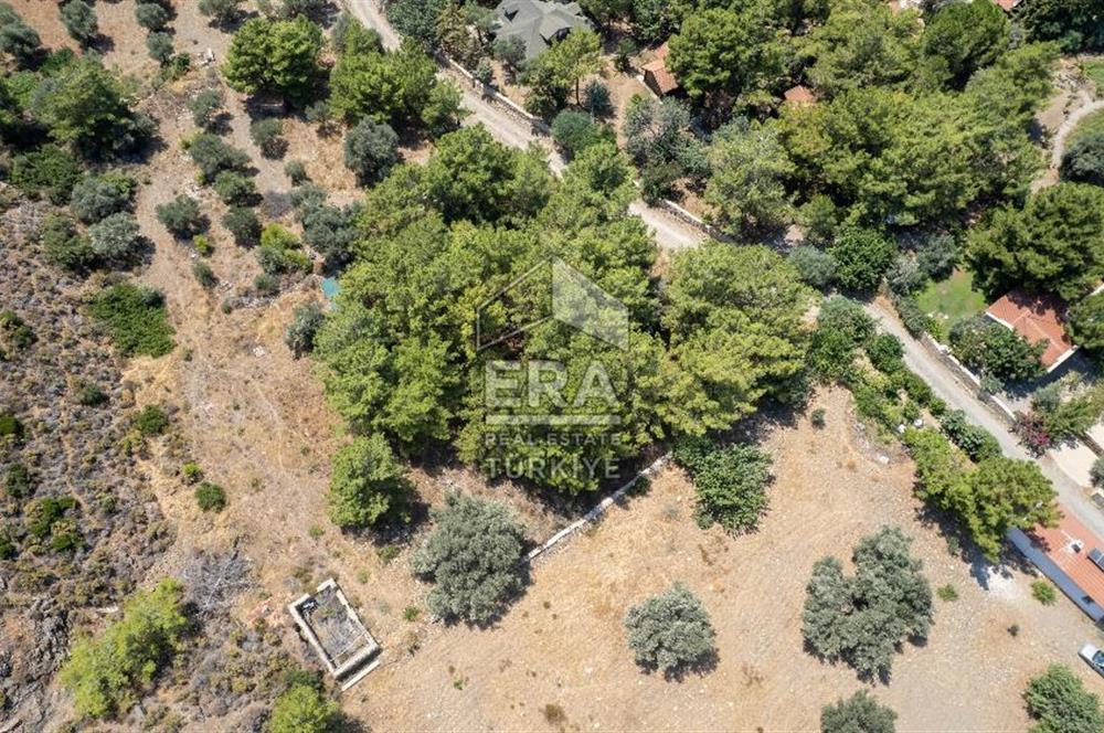 Datça Kabaklar Koyunda Denize 200 m Satılık 2777 m2 Arazi