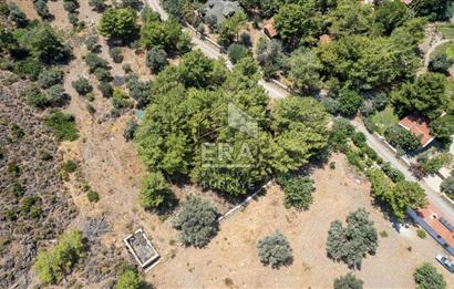 Datça Kabaklar Koyunda Denize 200 m Satılık 2777 m2 Arazi