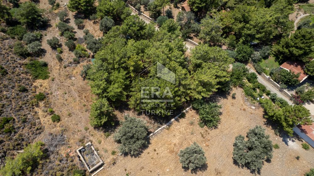 Datça Kabaklar Koyunda Denize 200 m Satılık 2777 m2 Arazi