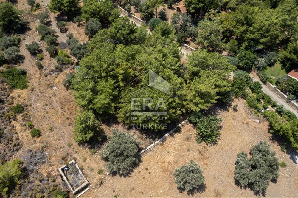 Datça Kabaklar Koyunda Denize 200 m Satılık 2777 m2 Arazi