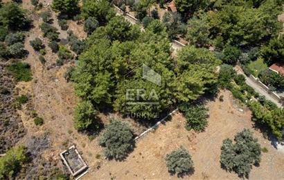 Datça Kabaklar Koyunda Denize 200 m Satılık 2777 m2 Arazi
