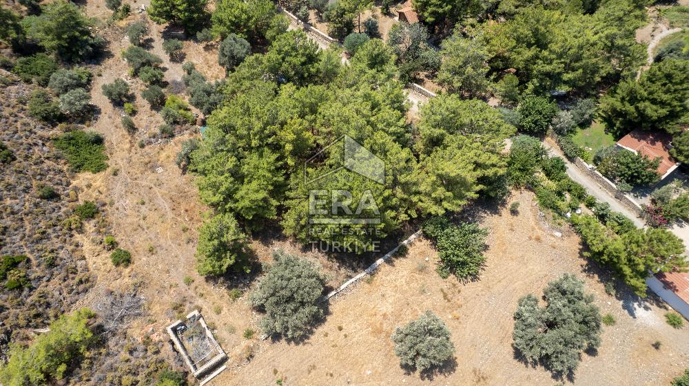 Datça Kabaklar Koyunda Denize 200 m Satılık 2777 m2 Arazi