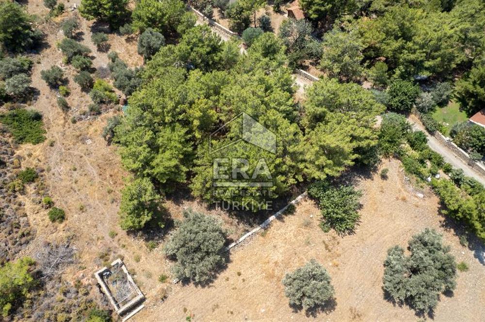 Datça Kabaklar Koyunda Denize 200 m Satılık 2777 m2 Arazi