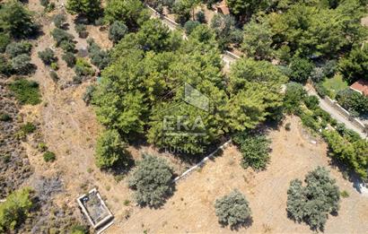 Datça Kabaklar Koyunda Denize 200 m Satılık 2777 m2 Arazi