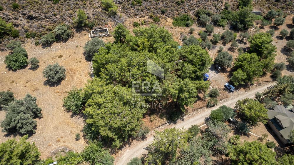 Datça Kabaklar Koyunda Denize 200 m Satılık 2777 m2 Arazi
