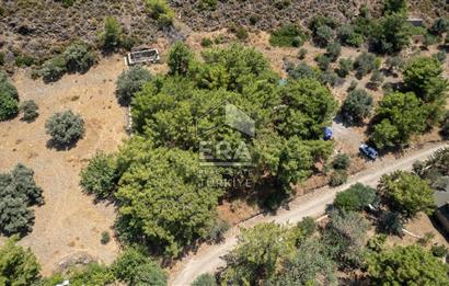 Datça Kabaklar Koyunda Denize 200 m Satılık 2777 m2 Arazi