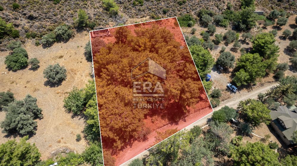 Datça Kabaklar Koyunda Denize 200 m Satılık 2777 m2 Arazi