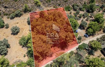 Datça Kabaklar Koyunda Denize 200 m Satılık 2777 m2 Arazi