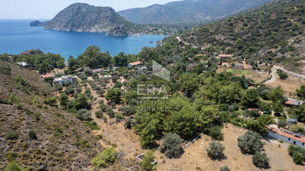 Datça Kabaklar Koyunda Denize 200 m Satılık 2777 m2 Arazi