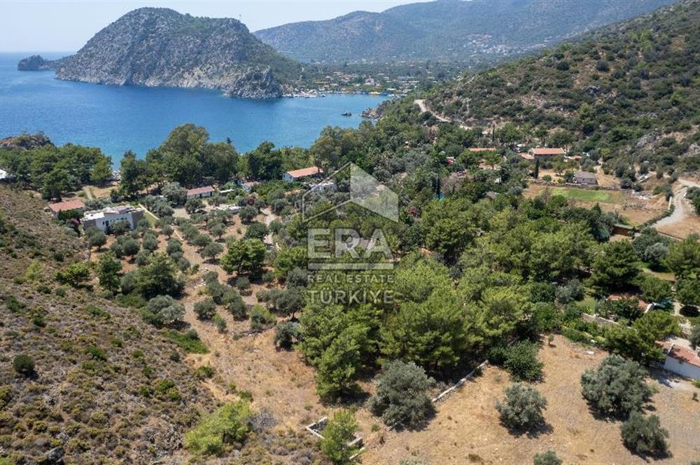 Datça Kabaklar Koyunda Denize 200 m Satılık 2777 m2 Arazi