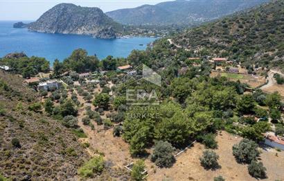 Datça Kabaklar Koyunda Denize 200 m Satılık 2777 m2 Arazi