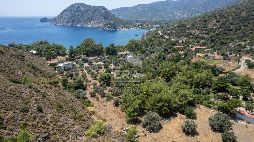 Datça Kabaklar Koyunda Denize 200 m Satılık 2777 m2 Arazi