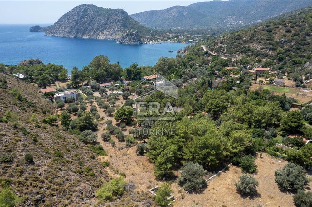 Datça Kabaklar Koyunda Denize 200 m Satılık 2777 m2 Arazi