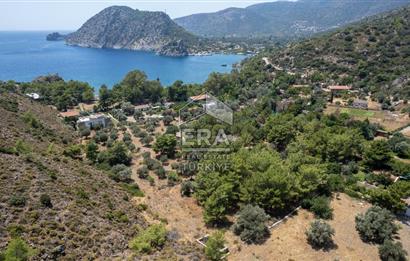 Datça Kabaklar Koyunda Denize 200 m Satılık 2777 m2 Arazi