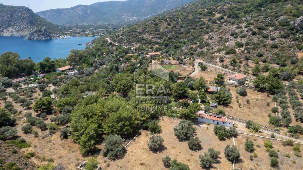 Datça Kabaklar Koyunda Denize 200 m Satılık 2777 m2 Arazi