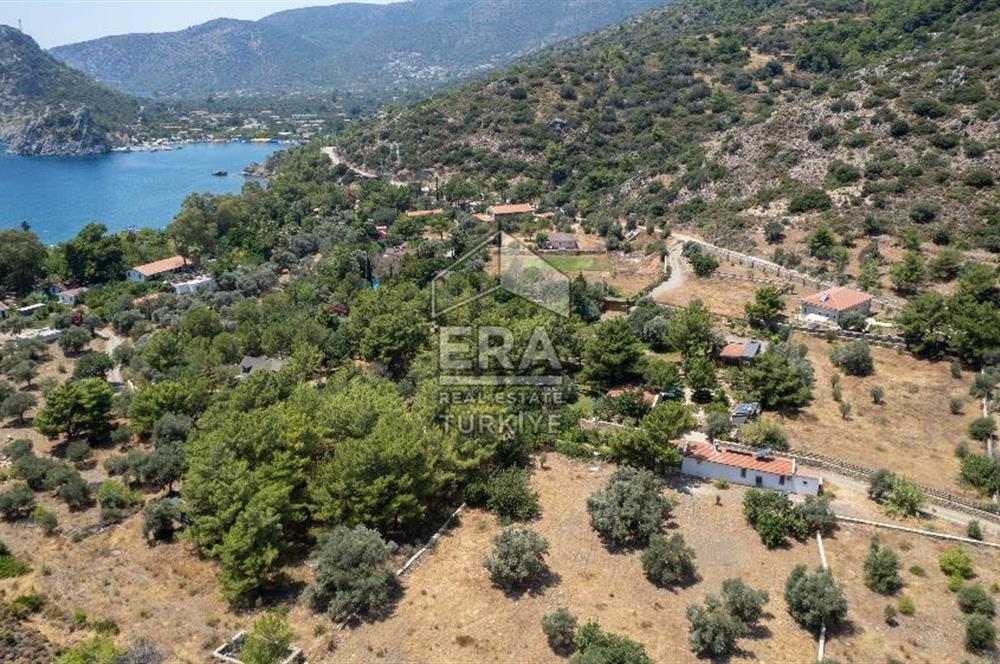 Datça Kabaklar Koyunda Denize 200 m Satılık 2777 m2 Arazi