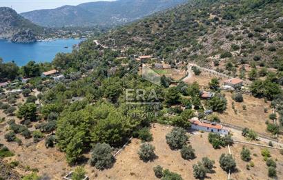 Datça Kabaklar Koyunda Denize 200 m Satılık 2777 m2 Arazi