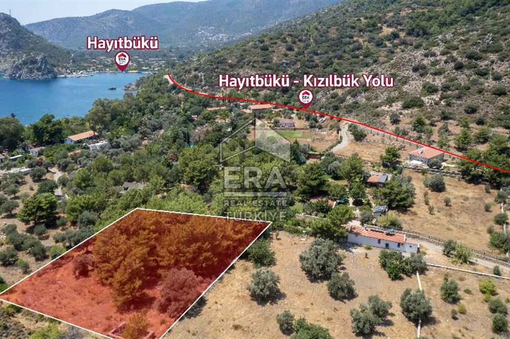 Datça Kabaklar Koyunda Denize 200 m Satılık 2777 m2 Arazi