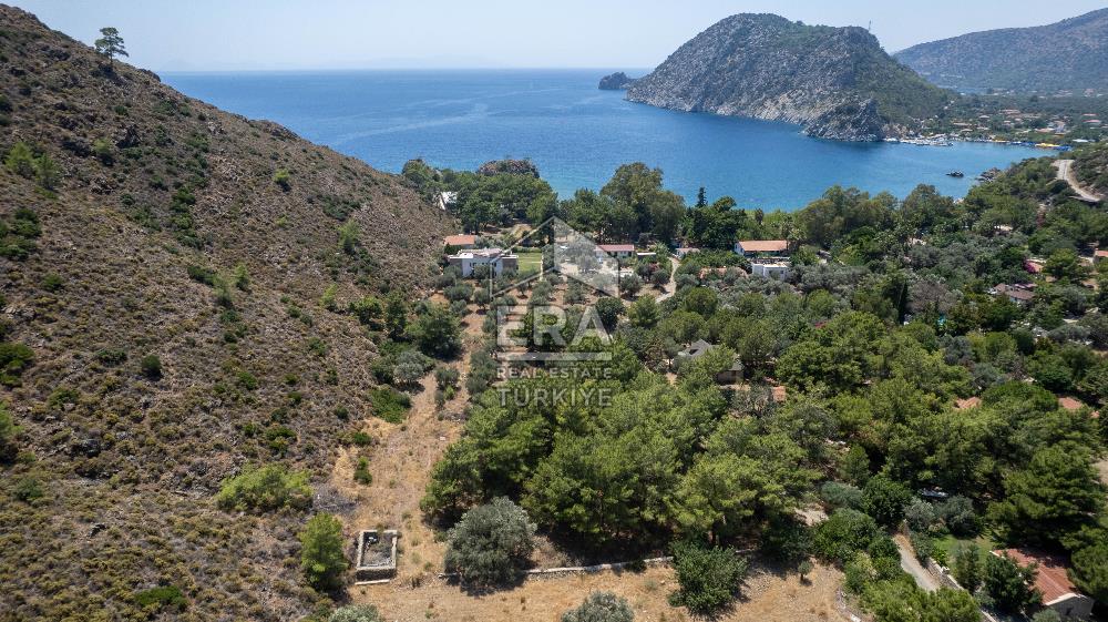 Datça Kabaklar Koyunda Denize 200 m Satılık 2777 m2 Arazi