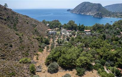 Datça Kabaklar Koyunda Denize 200 m Satılık 2777 m2 Arazi
