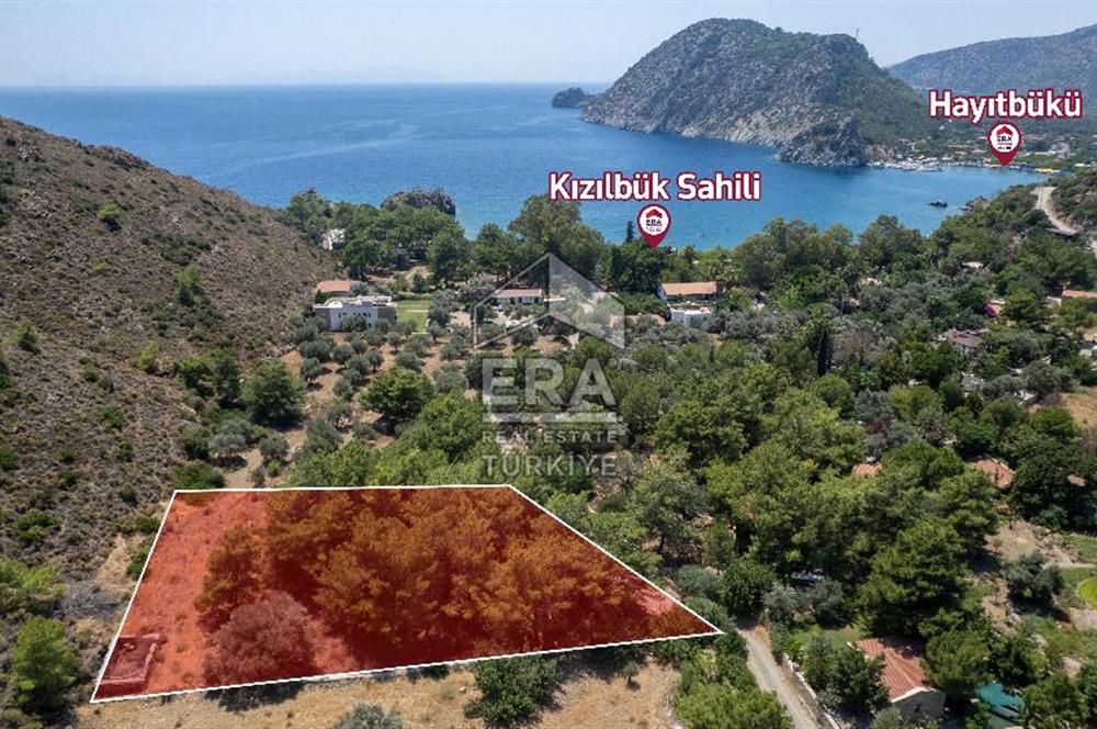 Datça Kabaklar Koyunda Denize 200 m Satılık 2777 m2 Arazi
