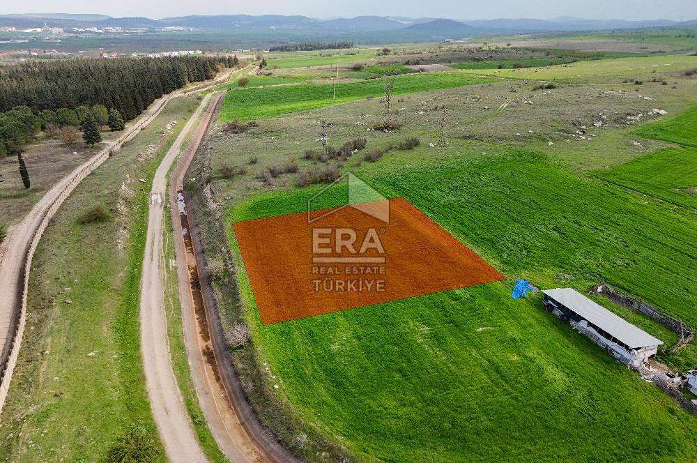 ERA SÖZ DEN ALTIEYLÜL PAŞAKÖY SATILIK ARSA