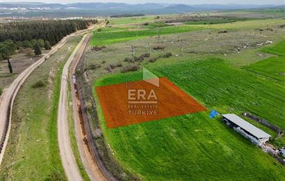 ERA SÖZ DEN ALTIEYLÜL PAŞAKÖY SATILIK ARSA