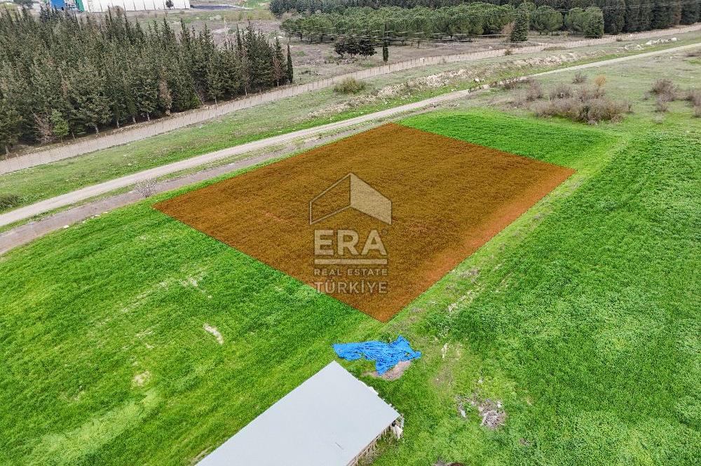 ERA SÖZ DEN ALTIEYLÜL PAŞAKÖY SATILIK ARSA