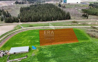 ERA SÖZ DEN ALTIEYLÜL PAŞAKÖY SATILIK ARSA