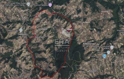 SAMSUN DA  14.200 M2 SATILIK TARLA
